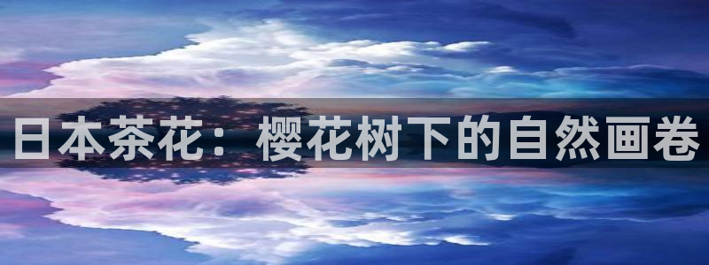 天顺娱乐主管指尖天